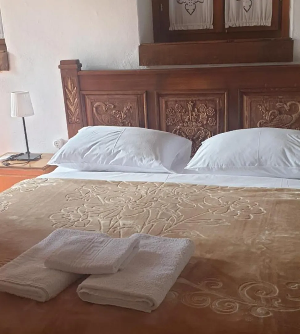 Silver Hill Guesthouse Gjirokastër 3*,  ألبانيا