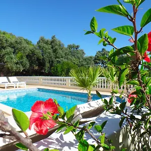 Panoramic Paradise Portugal
